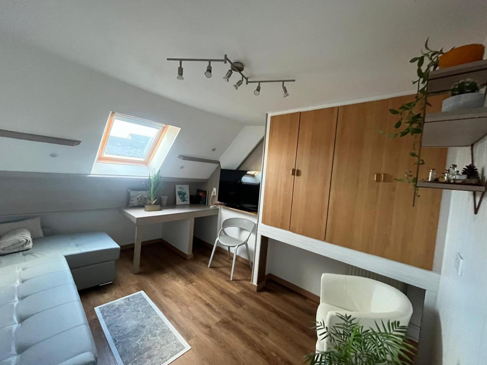 Appartement Type Loft Avec Terrasse Cherbourg-en-Cotentin Kültér fotó